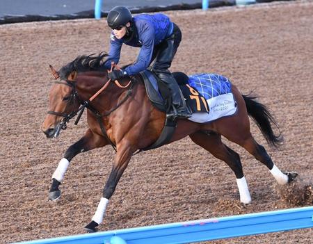 　ドゥラドーレス