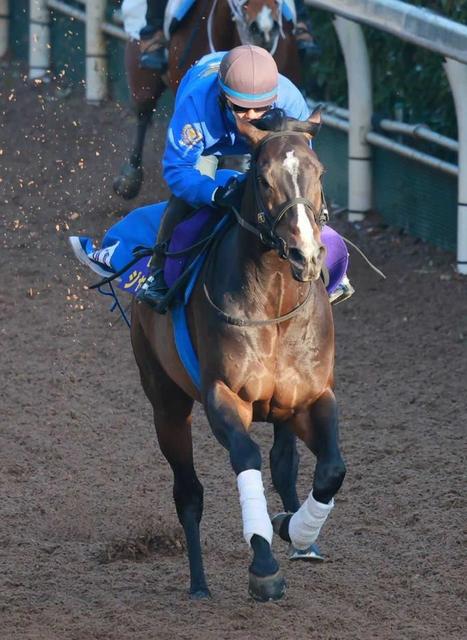 高松宮記念 母子制覇へジャンダルム 追い切り好感触 荻野極とのコンビで課題の発馬克服 競馬 レース デイリースポーツ Online