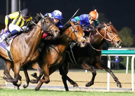 　ヴァンドギャルド（左）の強襲をしのぎロードノース（中）と１着同着となったパンサラッサ