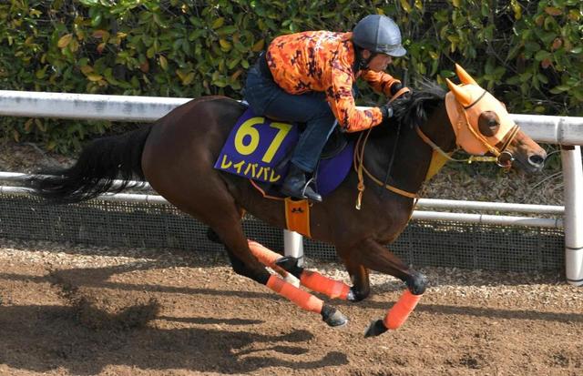 【大阪杯】レイパパレ　連覇へ好仕上がり　想定超えた！高野師「昨年より頑強に」