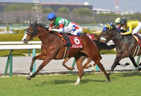 　豪快な末脚で前哨戦を制したナミュール＝３月５日、阪神競馬場