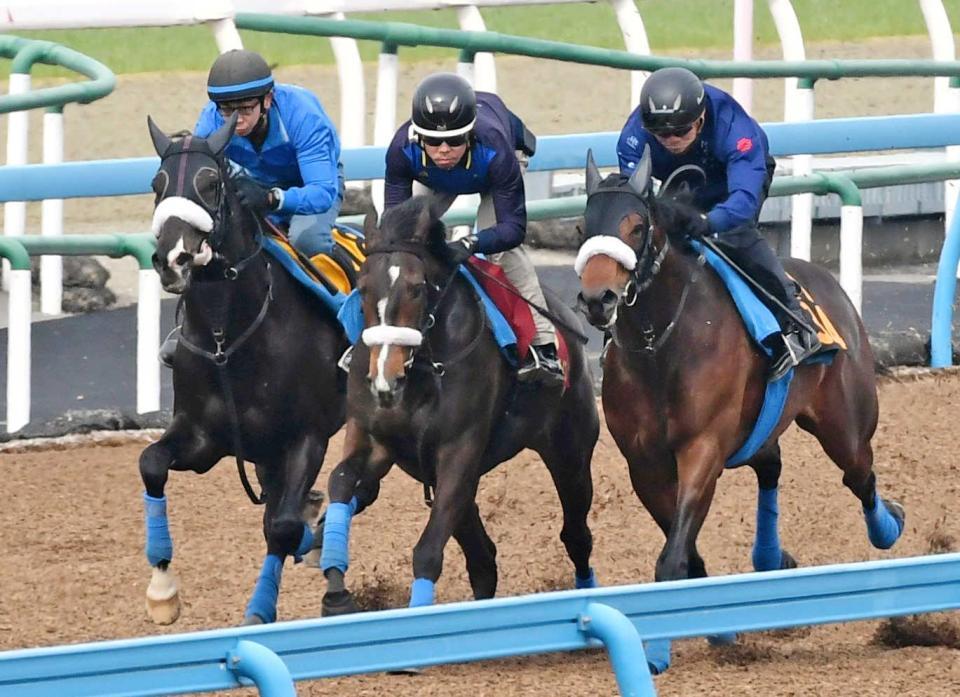 　力強く末脚を伸ばしたサークルオブライフ（中）＝撮影・三好信也