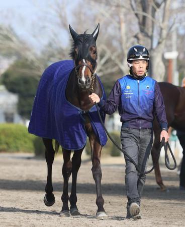 　運動するサークルオブライフ