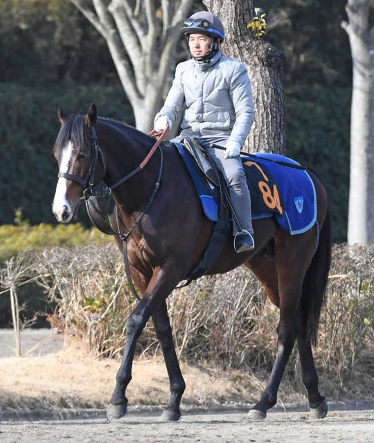 ２戦２勝の共同通信杯覇者ダノンベルーガが川田で皐月賞に参戦