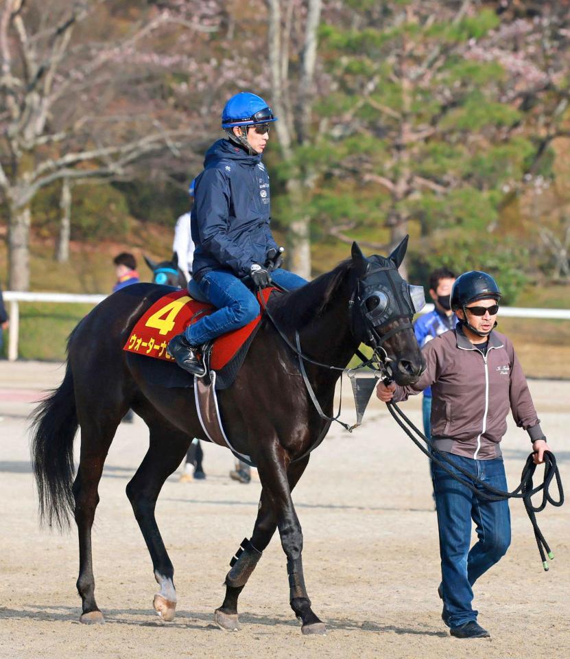 　ウォーターナビレラ