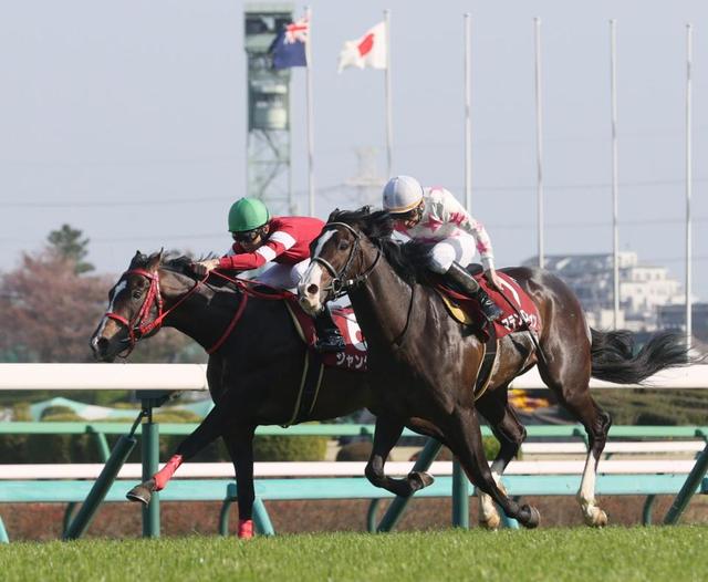 【ニュージーランドＴ】“ウマ娘”藤田晋オーナーの所有馬ジャングロが重賞初制覇