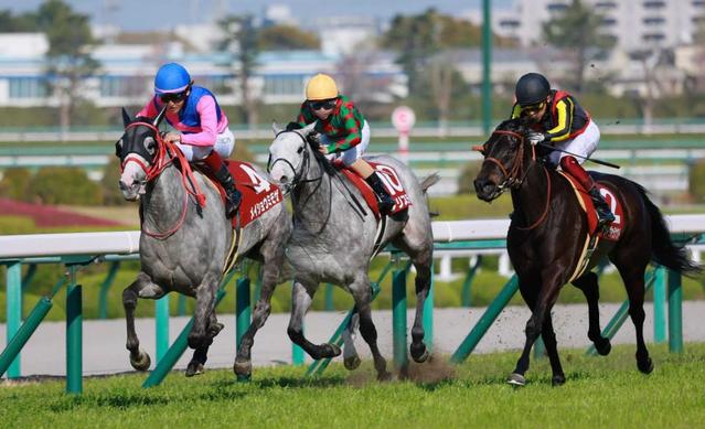 【阪神牝馬Ｓ】メイショウミモザ、５歳にして開花　鮫島駿「次のステップに進めたら」