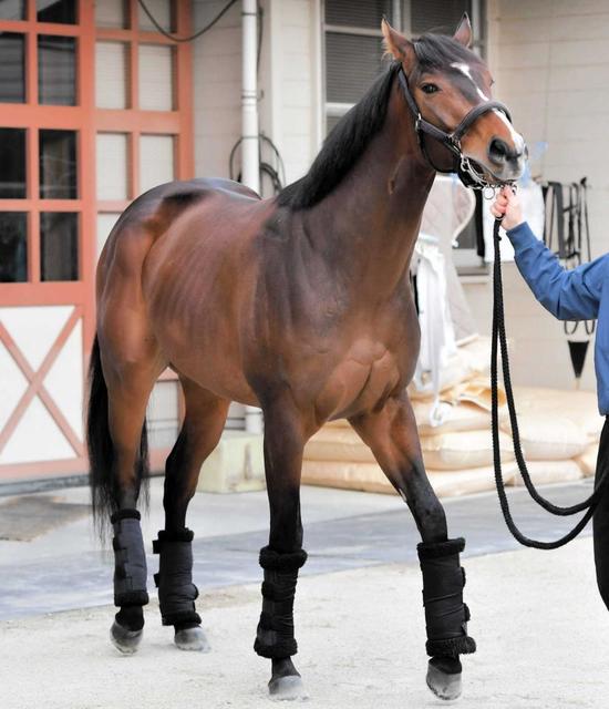 【アーリントンＣ】ダノンスコーピオン　巻き返しに自信　安田隆師「相当な器」
