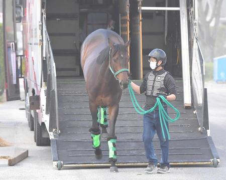 　馬運車から降りるデアリングタクト