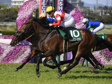 　アーリントンＣを制したダノンスコーピオン（撮影・石井剣太郎）