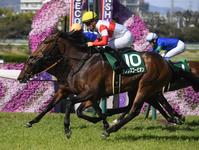 　アーリントンＣを制したダノンスコーピオン（撮影・石井剣太郎）