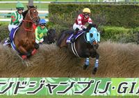 　大竹柵障害を飛越するオジュウチョウサン（右）＝撮影・三好信也