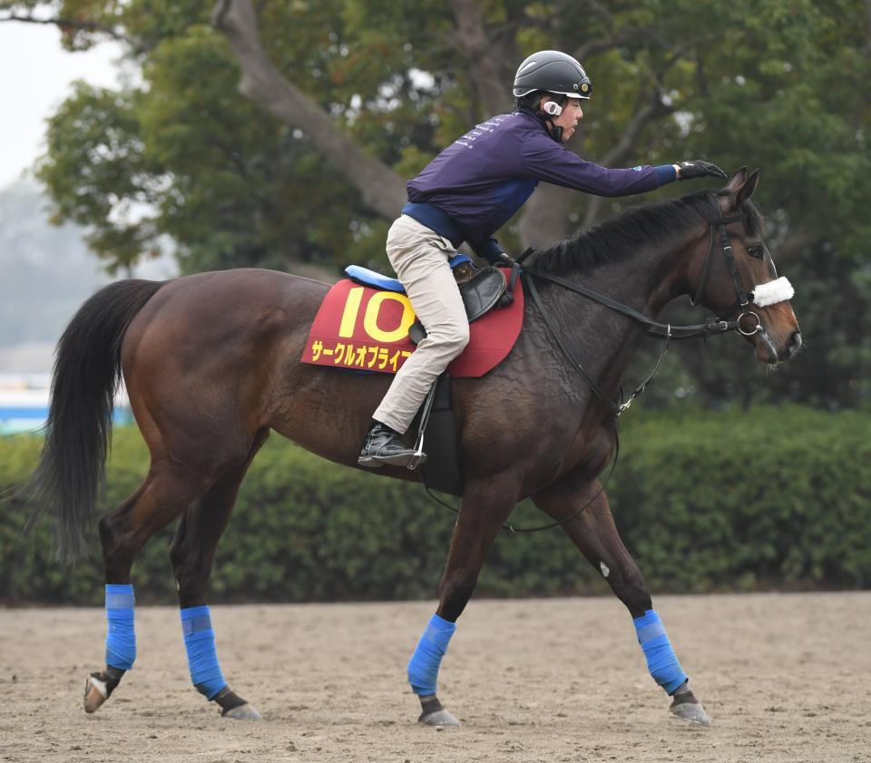 オークスで巻き返しを期すサークルオブライフ