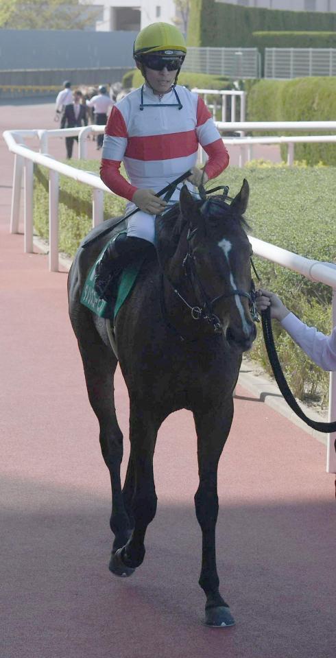 　アーリントンＣを制したダノンスコーピオン（撮影・石井剣太郎）