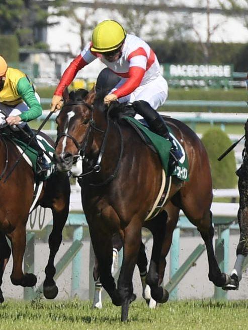 　アーリントンＣを制したダノンスコーピオン（撮影・石井剣太郎）