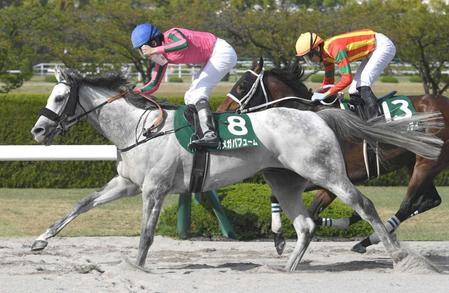 　他馬をねじ伏せたオメガパフュームと横山和　（撮影・石井剣太郎）