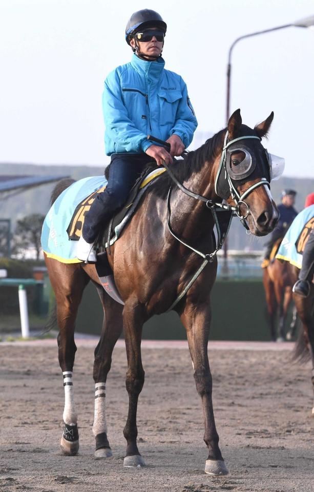 無傷3連勝で樫に殴り込みをかけたいルージュエヴァイユ