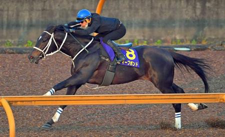 　四肢をしっかりと伸ばしたディープボンド（撮影・石湯恒介）