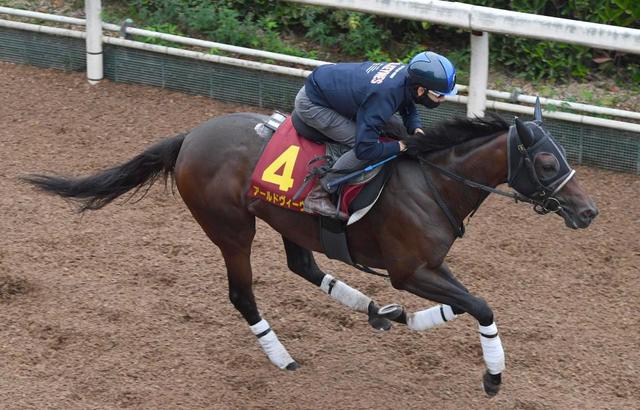 福島 阪神 東京の危険な人気馬 福島１１ｒ ルビーカサブランカ 競馬 レース デイリースポーツ Online