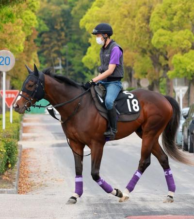 　重賞初制覇でダービーの出走権獲得を目指すジャスティンスカイ（撮影・石湯恒介）