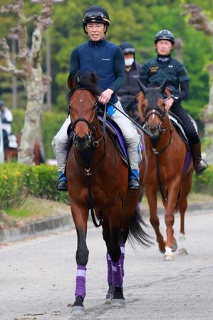 　僚馬ポタジェの大阪杯に続き、大舞台で一発を狙うヒートオンビート（撮影・石湯恒介）