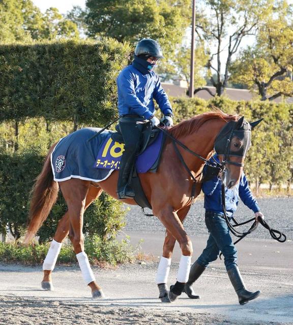 テーオーケインズが平安Ｓ参戦視野　高柳大師「松山に乗ってもらって考えます」