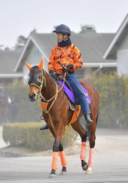 レイパパレがヴィクトリアＭへ　２戦２勝のマイル戦で２度目のＧ１制覇目指す