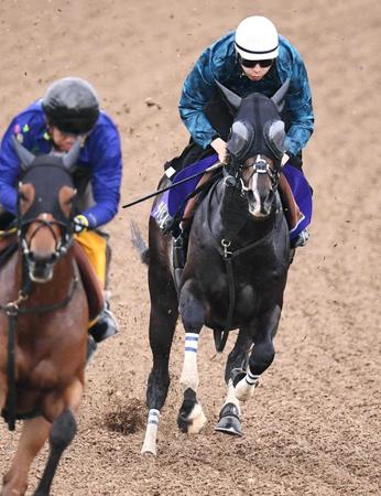 　美浦Ｗの併せ馬で軽快な脚さばきを披露したタイトルホルダー（右）＝撮影・園田高夫