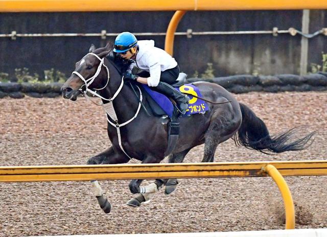 【天皇賞】ディープボンド絶好　和田竜「求めることない」大久保師「前走より上」