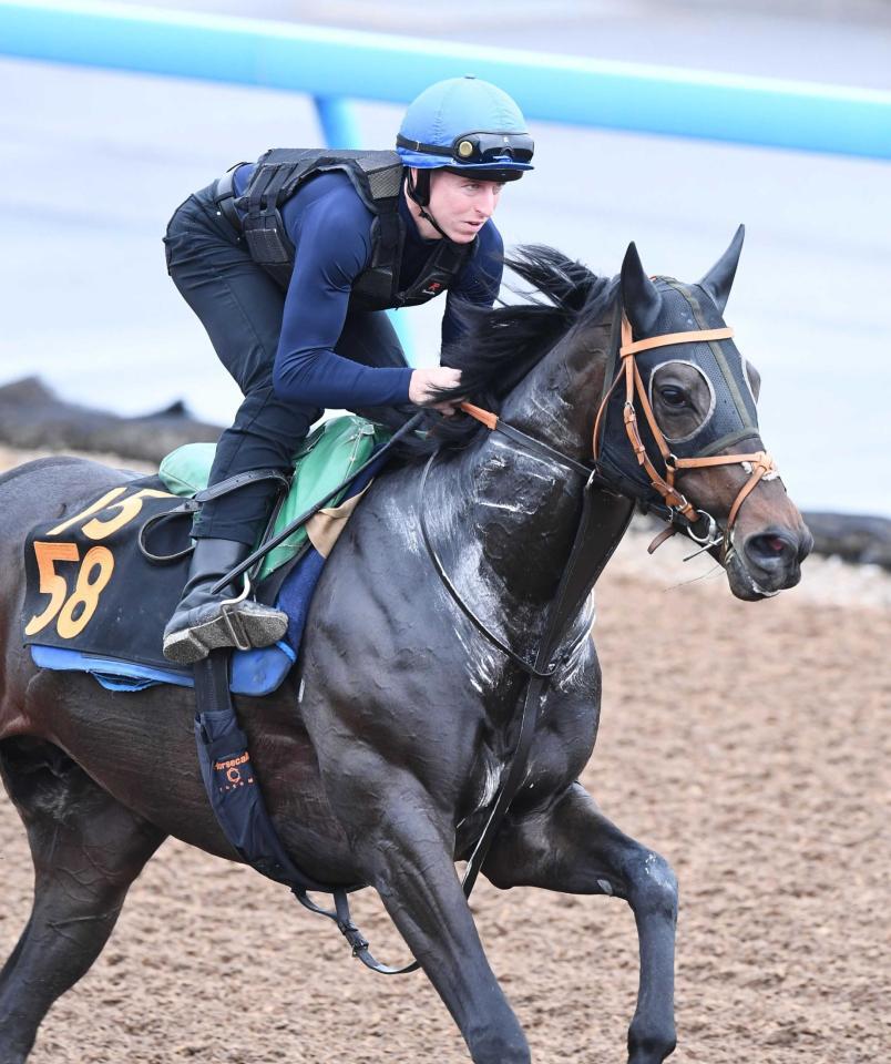 　短期免許で来日したレーンと感触を確かめたレヴァンジル（撮影・園田高夫）