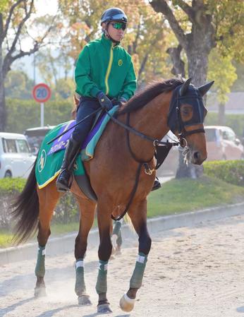 　アイアンバローズ