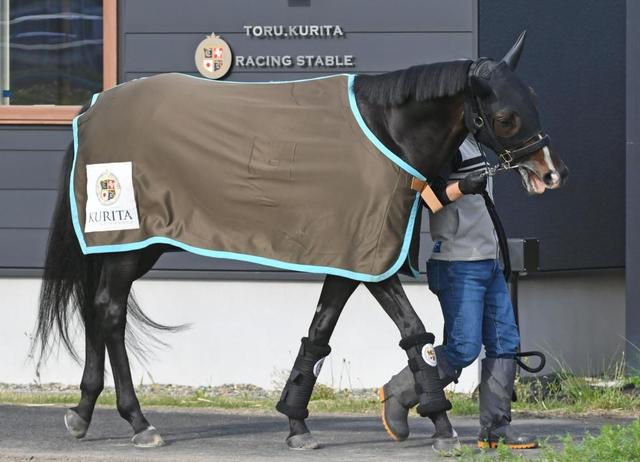 【危険な人気馬】超スローでも小差の前走　天皇賞の実績馬に気になる材料