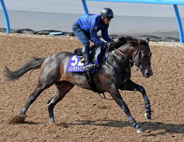 【ＮＨＫマイルＣ】インダストリア　最高の仕上げ＆舞台歓迎　宮田師「自信持って臨む」