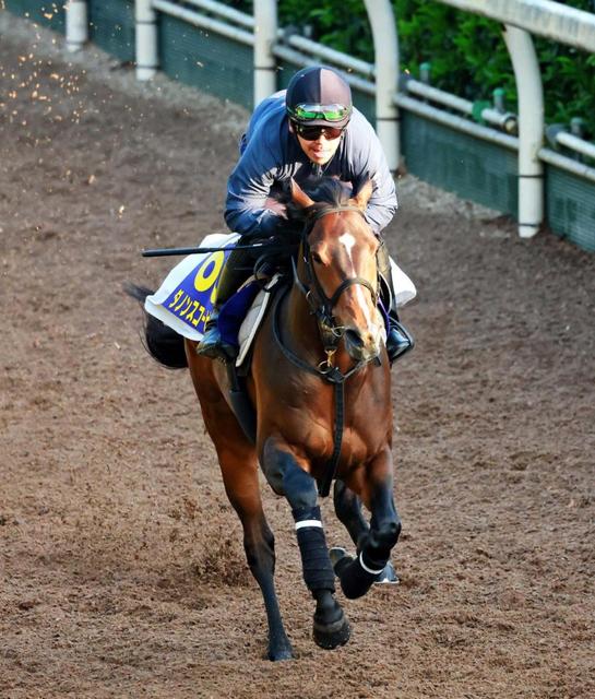 【ＮＨＫマイルＣ】ダノンスコーピオン 理想的　軽快に登坂　川田も認めるポテンシャル
