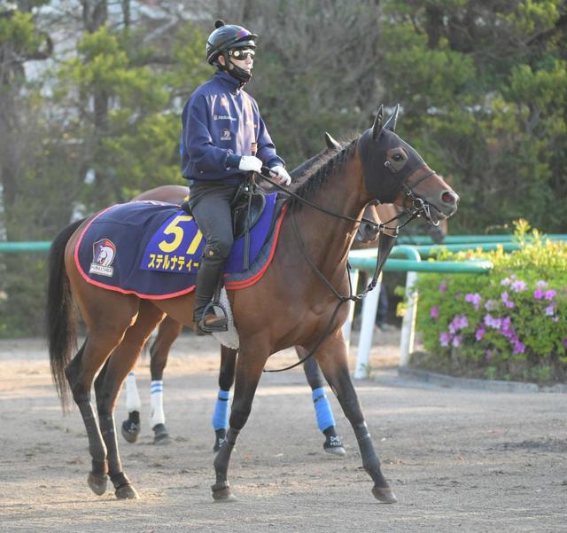 【ＮＨＫマイルＣ】池添好感触　ステルナティーアで偉業へ「早く達成したい」