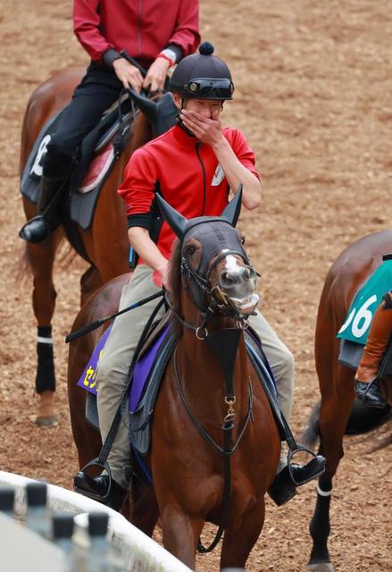 【NHKマイルC】セリフォスに中内田師「距離は一番得意」メンバー最多のマイル3勝