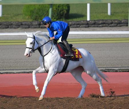 　３戦ぶりの芝のレースでＧ１・３勝目を目指すソダシ