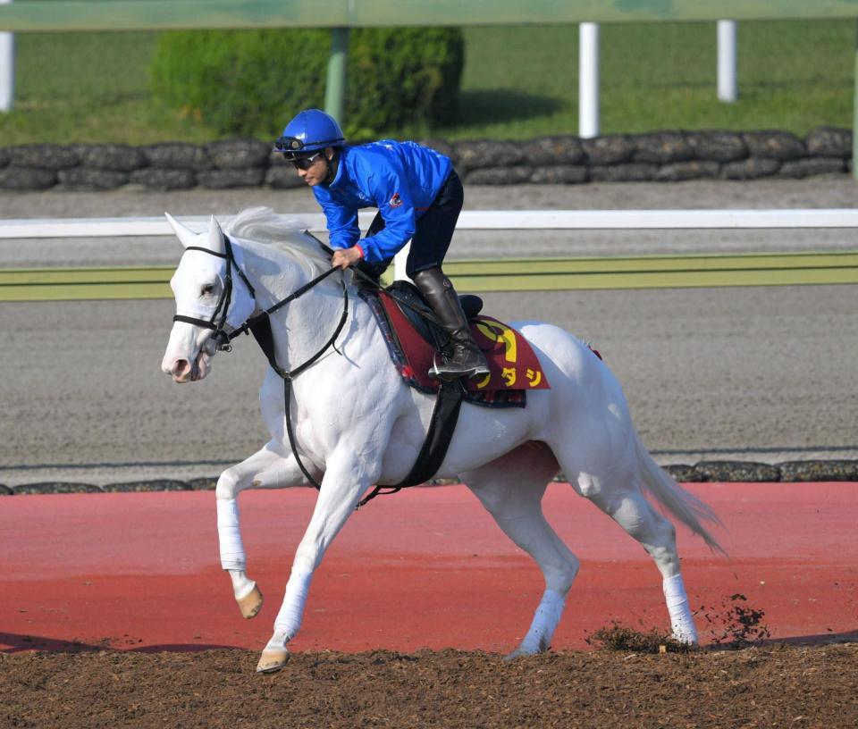 　３戦ぶりの芝のレースでＧ１・３勝目を目指すソダシ