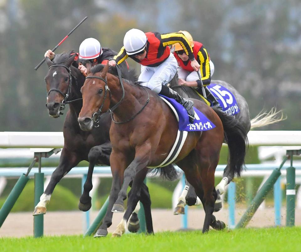 　１８年マイルＣＳを制したステルヴィオ