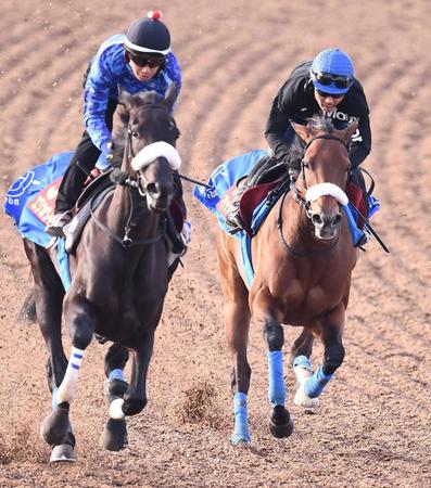 　美浦Ｗ、エリカヴィータ（左）と併せ追い切るマジックキャッスル（撮影・園田高夫）