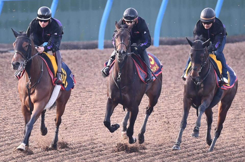 　美浦Ｗ３頭併せで追い切ったファインルージュ（中央）＝撮影・園田高夫