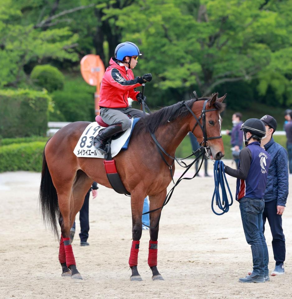 メイケイエール