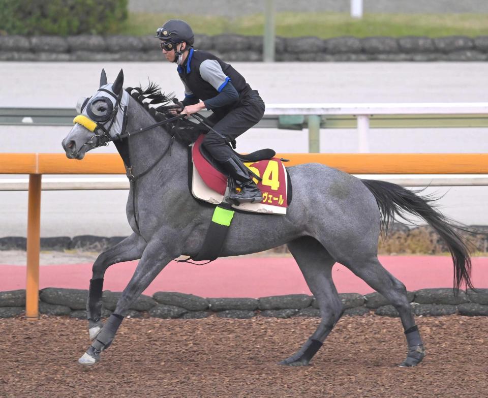 　未知の魅力を秘めるコントディヴェール