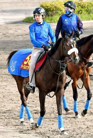 　反撃を期すサークルオブライフ