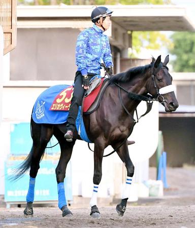 　トライアルＶで勢いづくエリカヴィータ