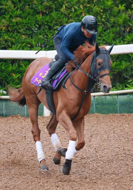 【平安Ｓ】テーオーケインズ　帰国初戦で気合　高柳大師「毛ヅヤも動きもいい」
