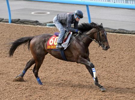 　初コンビのルメールを背に美浦Ｗで鋭く伸びたスターズオンアース＝撮影・三好信也