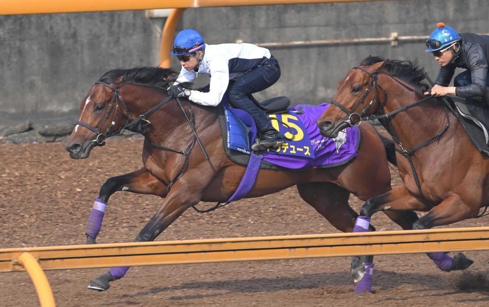 　武豊を背に栗東ＣＷで力強い動きを披露したドウデュース（左）＝撮影・高部洋祐