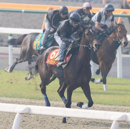 ルメール騎手を背にポリトラックコースで運動するスターズオンアーズ（手前）