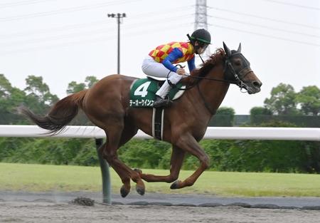 　平安Ｓを制したテーオーケインズ